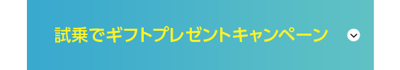 試乗でギフトプレゼントキャンペーン